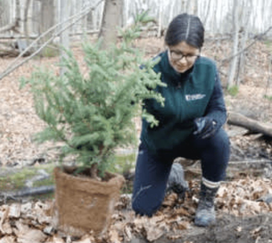 Planting Forests with Cheyene Brunet